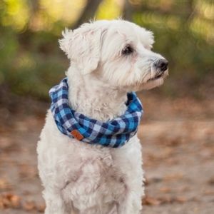 Meet your Posher, Julia kate